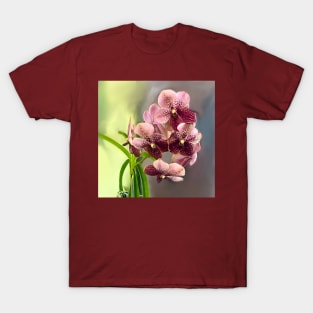 Vanda Orchids in Bloom T-Shirt